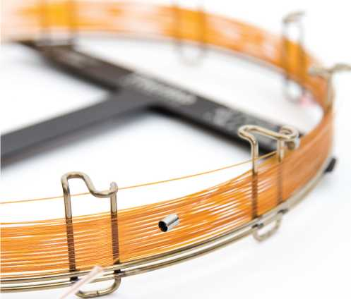 Thermo Scientifc  GC 色譜柱 TRACE-TR 